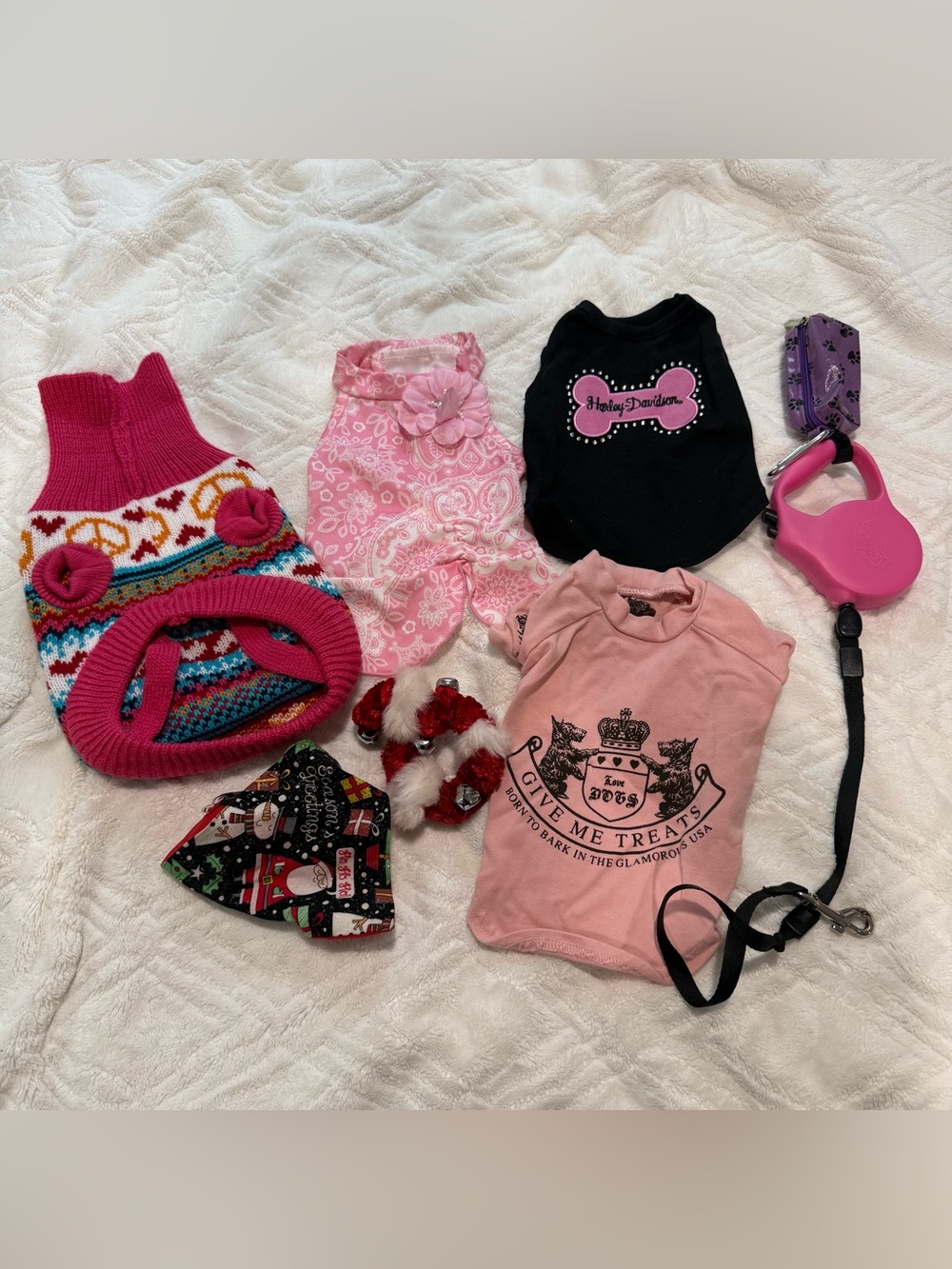 Pet outfits and leash